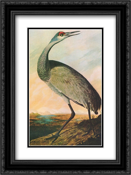 Sandhill Crane 15x21 Black Ornate Wood Framed Art Print Poster with Double Matting by Audubon, John James