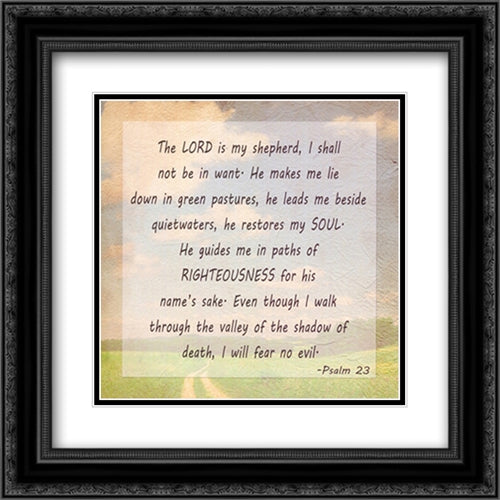 The Lord is my Shepherd 18x18 Black Ornate Wood Framed Art Print Poster with Double Matting