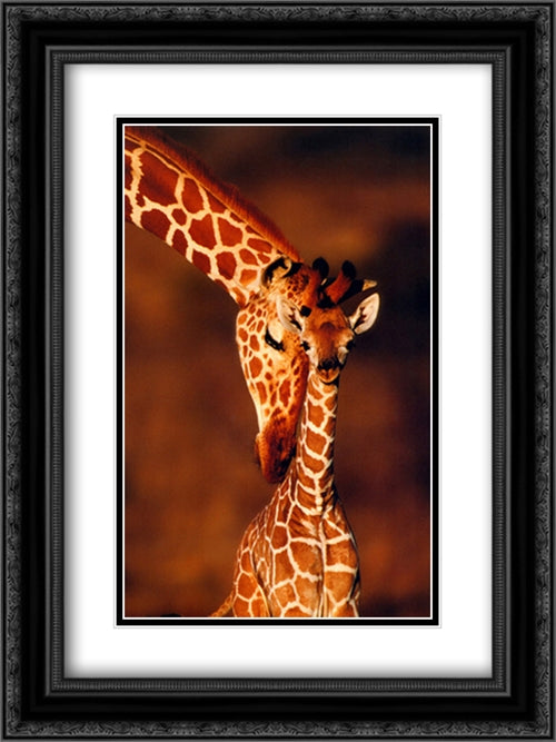 Giraffes, Namibia 16x20 Black Ornate Wood Framed Art Print Poster with Double Matting
