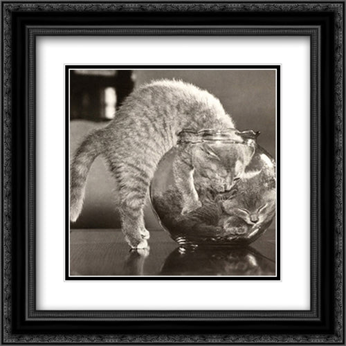 A Bowl Of Cats 2x Matted 20x20 Black Ornate Wood Framed Art Print Poster with Double Matting