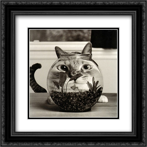 Cat Fish 2x Matted 20x20 Black Ornate Wood Framed Art Print Poster with Double Matting by Conger, Cydney