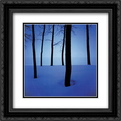 Trees in Snow 2x Matted 20x20 Black Ornate Wood Framed Art Print Poster with Double Matting by Wood, Ted