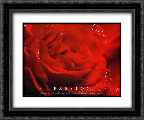 Passion 2x Matted 24x20 Black Ornate Wood Framed Art Print Poster with Double Matting