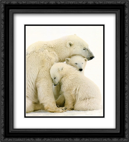 Polar Bear Family 2x Matted 20x24 Black Ornate Wood Framed Art Print Poster with Double Matting