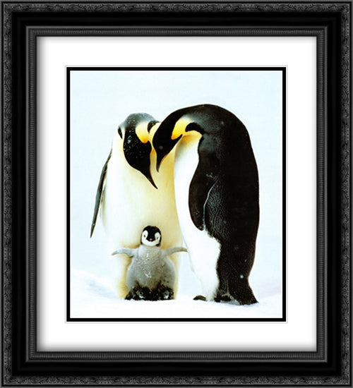 Penguin Family 2x Matted 20x24 Black Ornate Wood Framed Art Print Poster with Double Matting