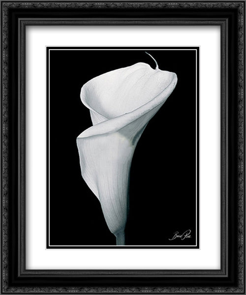 Arum Lily III 2x Matted 20x24 Black Ornate Wood Framed Art Print Poster with Double Matting by Rae