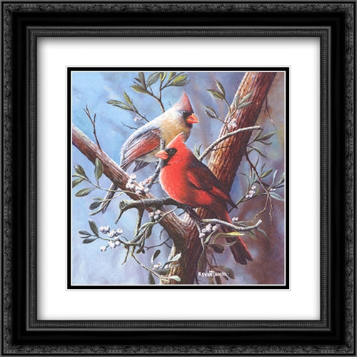 Cardinal 16x16 Black Ornate Wood Framed Art Print Poster with Double Matting by Daniel, Kevin