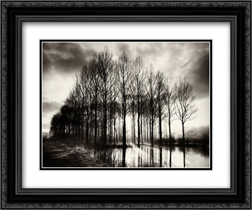 Trees In Normandy 2x Matted 20x24 Black Ornate Wood Framed Art Print Poster with Double Matting by Philip, Bill