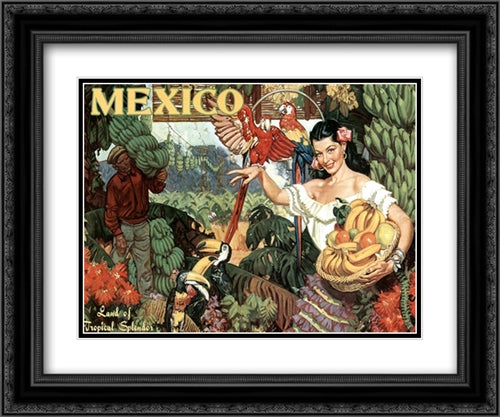 Mexico, Land Of Tropical Splendor 25x19 Black Ornate Wood Framed Art Print Poster with Double Matting