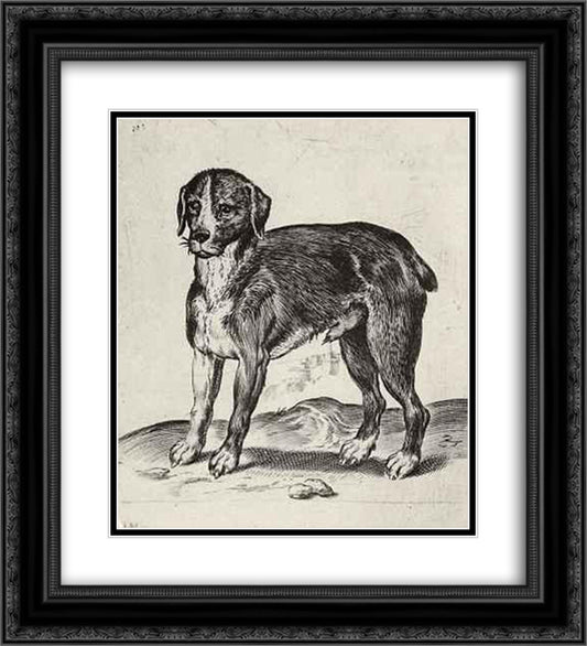 Dog 20x22 Black Ornate Wood Framed Art Print Poster with Double Matting by Carracci, Agostino