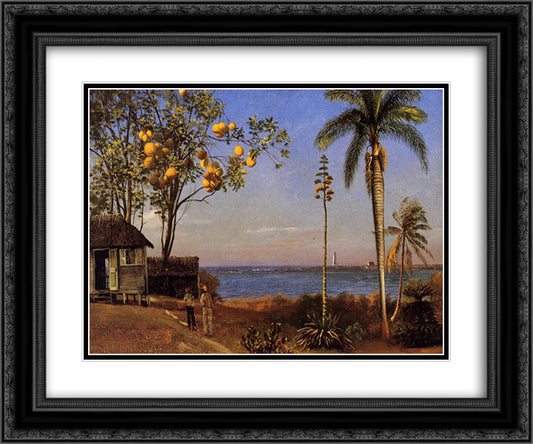 A View in the Bahamas 24x20 Black Ornate Wood Framed Art Print Poster with Double Matting by Bierstadt, Albert