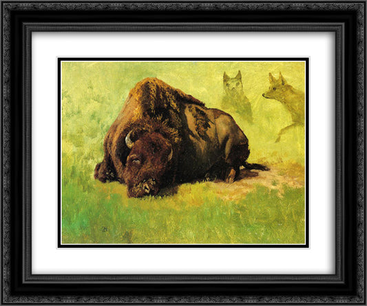 Bison with Coyotes in the Background 24x20 Black Ornate Wood Framed Art Print Poster with Double Matting by Bierstadt, Albert