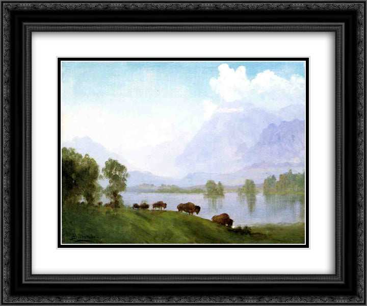 Buffalo Country 24x20 Black Ornate Wood Framed Art Print Poster with Double Matting by Bierstadt, Albert