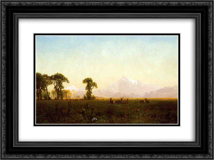 Deer Grazing, Grand Tetons, Wyoming 24x18 Black Ornate Wood Framed Art Print Poster with Double Matting by Bierstadt, Albert