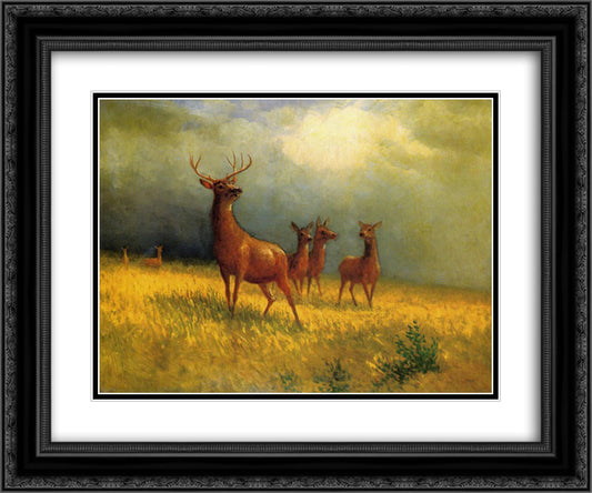 Deer in a Field 24x20 Black Ornate Wood Framed Art Print Poster with Double Matting by Bierstadt, Albert