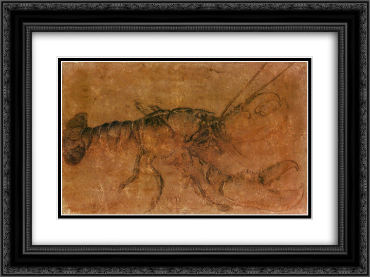 A lobster 24x18 Black Ornate Wood Framed Art Print Poster with Double Matting by Durer, Albrecht
