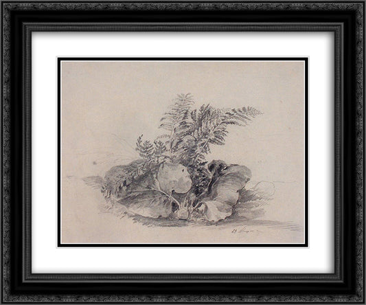 Fern leaves and burdock 24x20 Black Ornate Wood Framed Art Print Poster with Double Matting by Savrasov, Aleksey