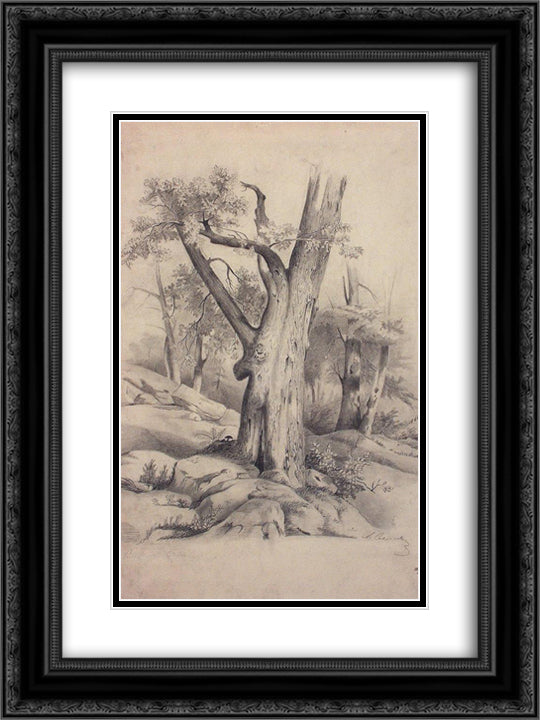 Oak 18x24 Black Ornate Wood Framed Art Print Poster with Double Matting by Savrasov, Aleksey