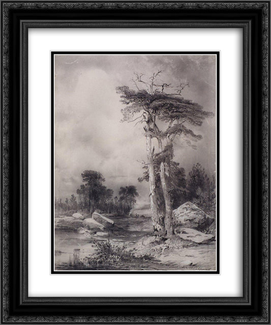 Old pine 20x24 Black Ornate Wood Framed Art Print Poster with Double Matting by Savrasov, Aleksey