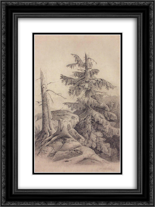 Spruce 18x24 Black Ornate Wood Framed Art Print Poster with Double Matting by Savrasov, Aleksey