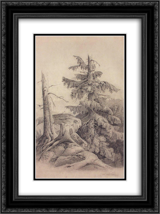 Spruce 18x24 Black Ornate Wood Framed Art Print Poster with Double Matting by Savrasov, Aleksey