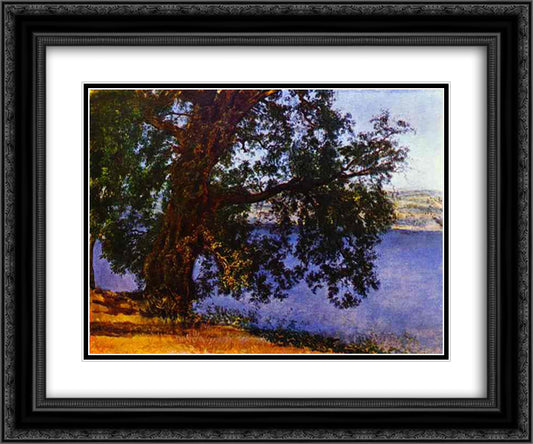 A Tree over Water in the Vicinity of Castel Gandolfo 24x20 Black Ornate Wood Framed Art Print Poster with Double Matting by Ivanov, Alexander