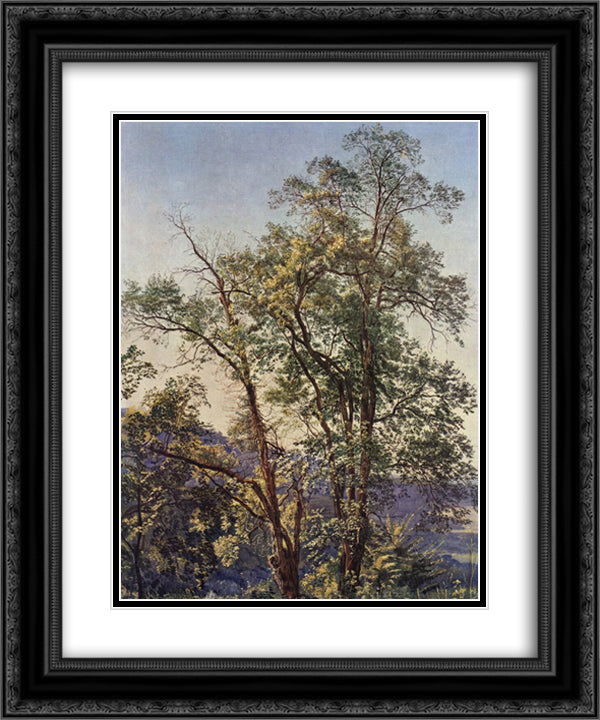 Olive trees 20x24 Black Ornate Wood Framed Art Print Poster with Double Matting by Ivanov, Alexander