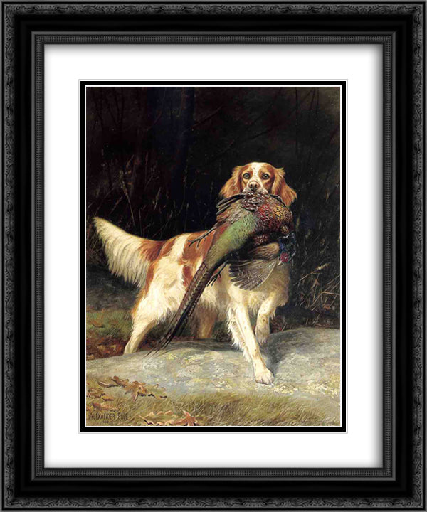 Springer Spaniel with Pheasant 20x24 Black Ornate Wood Framed Art Print Poster with Double Matting by Pope, Alexander