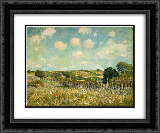 Meadow 24x20 Black Ornate Wood Framed Art Print Poster with Double Matting by Sisley, Alfred