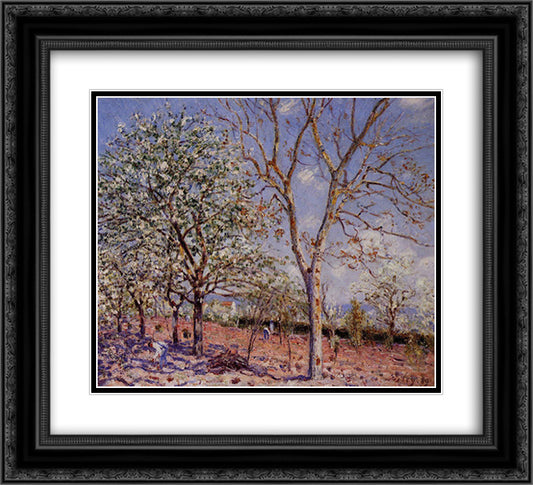 Plum and Walnut Trees in Spring 22x20 Black Ornate Wood Framed Art Print Poster with Double Matting by Sisley, Alfred