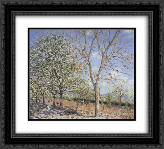 Trees in Bloom 22x20 Black Ornate Wood Framed Art Print Poster with Double Matting by Sisley, Alfred