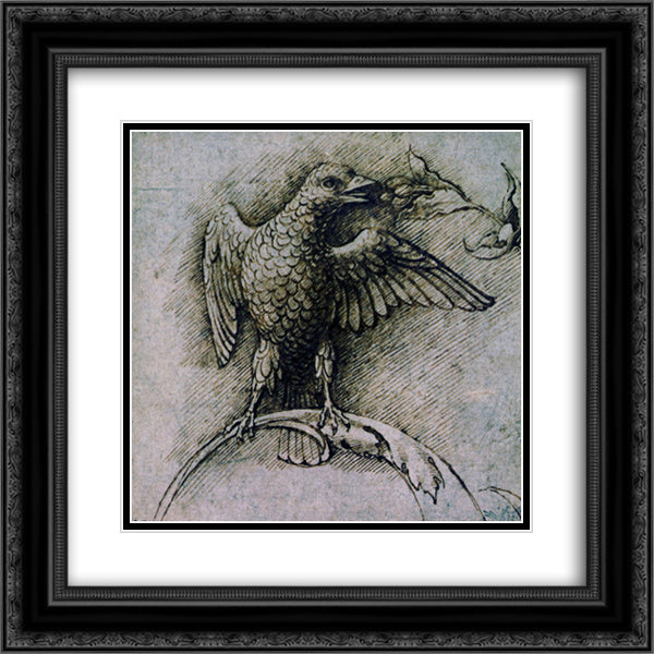 Bird on a branch 20x20 Black Ornate Wood Framed Art Print Poster with Double Matting by Mantegna, Andrea