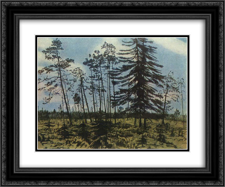 Finland with a blue sky 24x20 Black Ornate Wood Framed Art Print Poster with Double Matting by Ostroumova Lebedeva, Anna