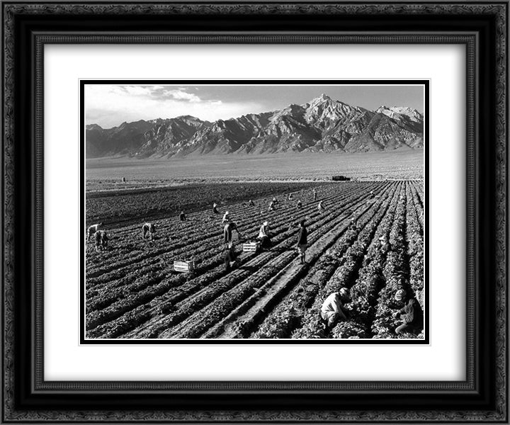 Farm, farm workers, Mt. Williamson in background, Manzanar Relocation Center, California 24x20 Black Ornate Wood Framed Art Print Poster with Double Matting by Adams, Ansel