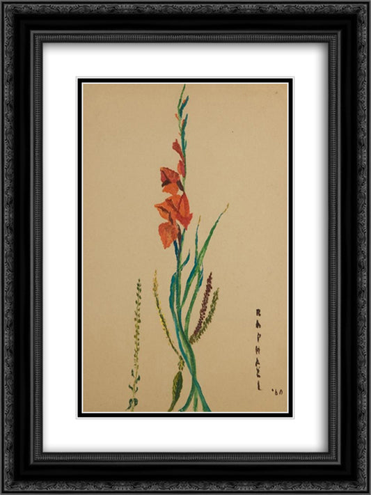 Gladiolo 18x24 Black Ornate Wood Framed Art Print Poster with Double Matting by Raphael, Antonietta