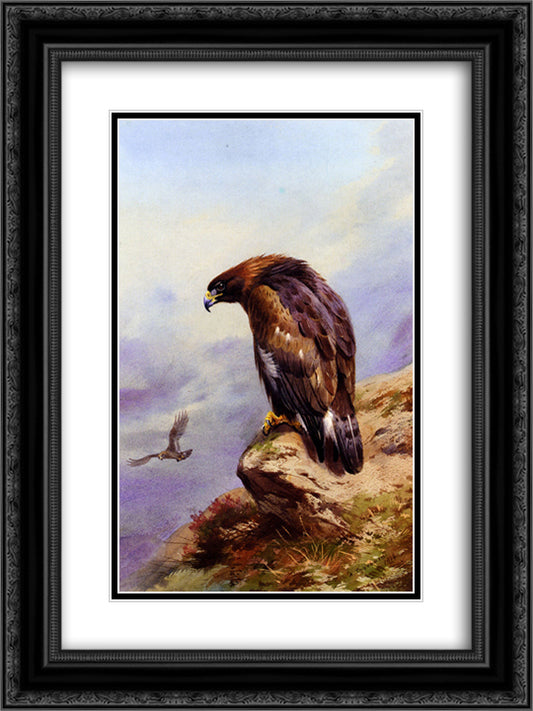 A Golden Eagle 18x24 Black Ornate Wood Framed Art Print Poster with Double Matting by Thorburn, Archibald