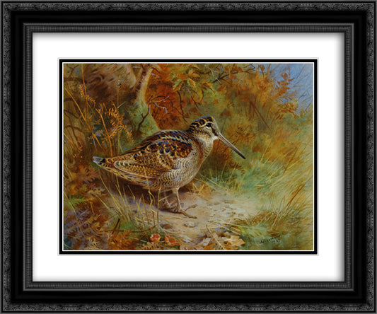 A Woodcock 24x20 Black Ornate Wood Framed Art Print Poster with Double Matting by Thorburn, Archibald