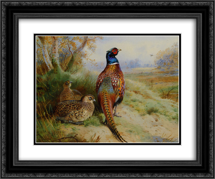 Cock and Hen Pheasant at the Edge of a Wood 24x20 Black Ornate Wood Framed Art Print Poster with Double Matting by Thorburn, Archibald