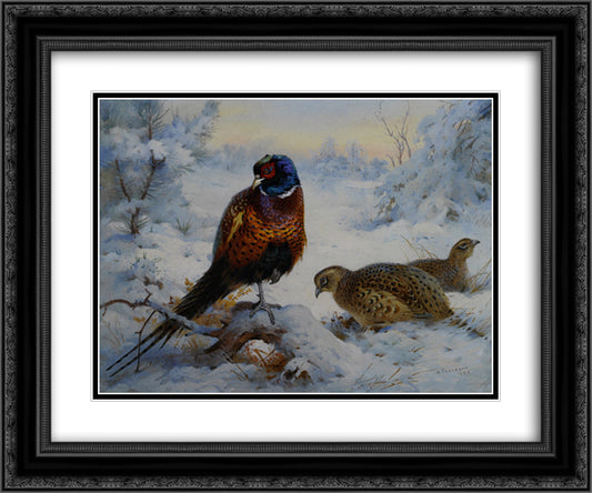 Cock and Hen Pheasant in Winter 24x20 Black Ornate Wood Framed Art Print Poster with Double Matting by Thorburn, Archibald