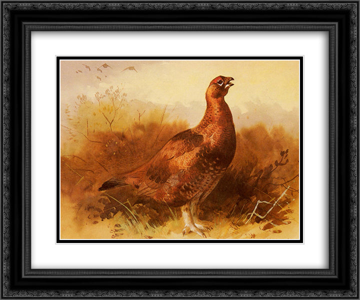 Cock Grouse 24x20 Black Ornate Wood Framed Art Print Poster with Double Matting by Thorburn, Archibald