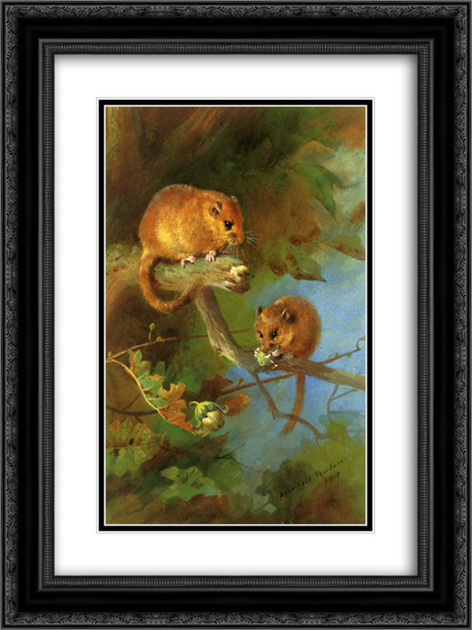 Dormice 18x24 Black Ornate Wood Framed Art Print Poster with Double Matting by Thorburn, Archibald