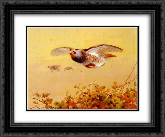 English Partridge In Flight 24x20 Black Ornate Wood Framed Art Print Poster with Double Matting by Thorburn, Archibald