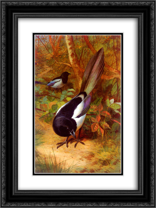 Magpies 18x24 Black Ornate Wood Framed Art Print Poster with Double Matting by Thorburn, Archibald