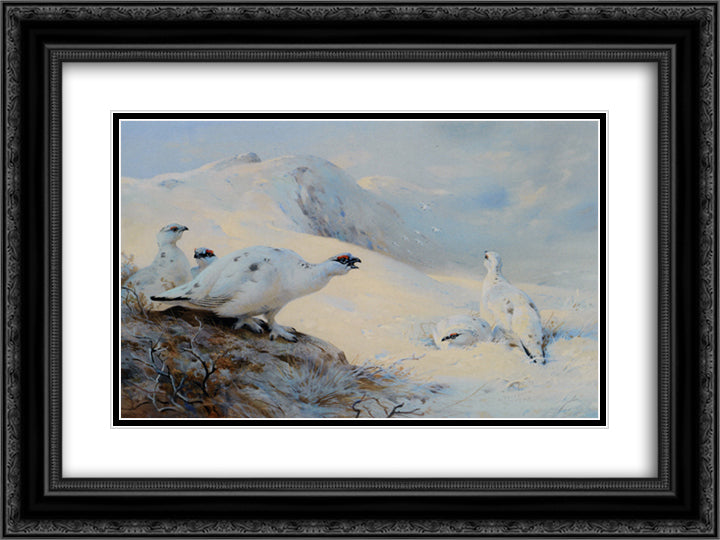 Ptarmigan Calling in the Snow 24x18 Black Ornate Wood Framed Art Print Poster with Double Matting by Thorburn, Archibald