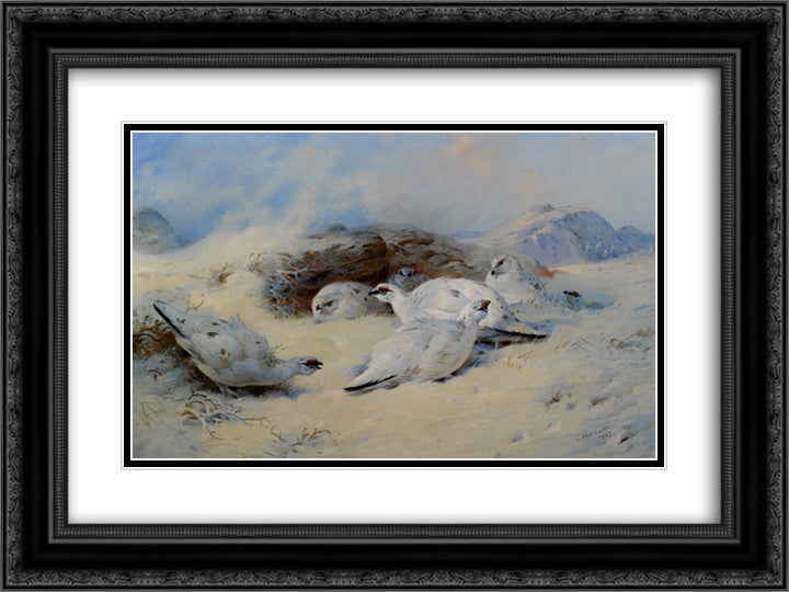 Ptarmigan Seeking Shelter 24x18 Black Ornate Wood Framed Art Print Poster with Double Matting by Thorburn, Archibald