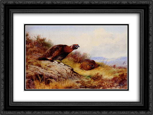 Red Grouse On The Moor 24x18 Black Ornate Wood Framed Art Print Poster with Double Matting by Thorburn, Archibald