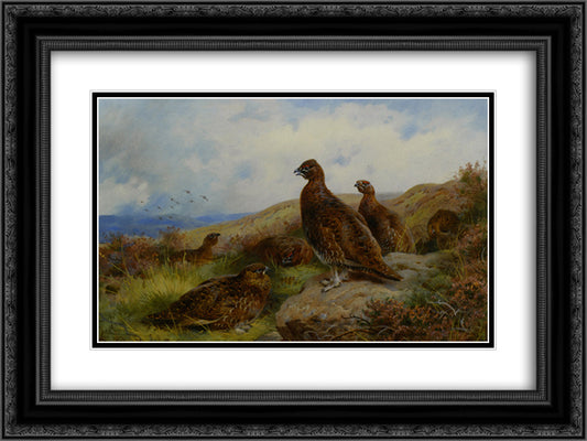 Red Grouse Packing 24x18 Black Ornate Wood Framed Art Print Poster with Double Matting by Thorburn, Archibald