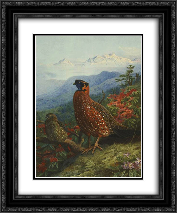 Satyr-Tragopan 20x24 Black Ornate Wood Framed Art Print Poster with Double Matting by Thorburn, Archibald