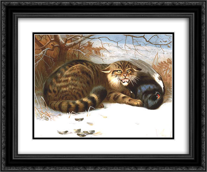 Wildcat 24x20 Black Ornate Wood Framed Art Print Poster with Double Matting by Thorburn, Archibald