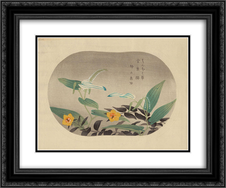 Saururus Chinensis and Hypericum Patulum 24x20 Black Ornate Wood Framed Art Print Poster with Double Matting by Takeji, Asano